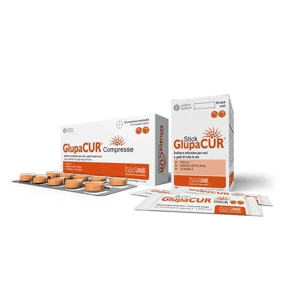 dogovital-innovet-glupacur-1.webp
