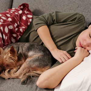 RelaxoPet PRO – pripomoček namenjen sproščanju psov