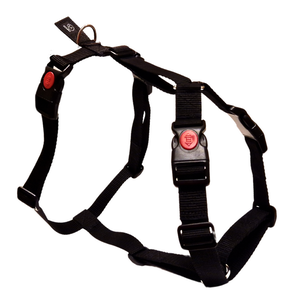 H harness with side attachment