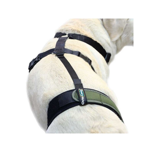 Supportive strap for knee brace