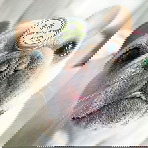 Natural Dog Company Balzam za kožne gube Wrinkle - 3