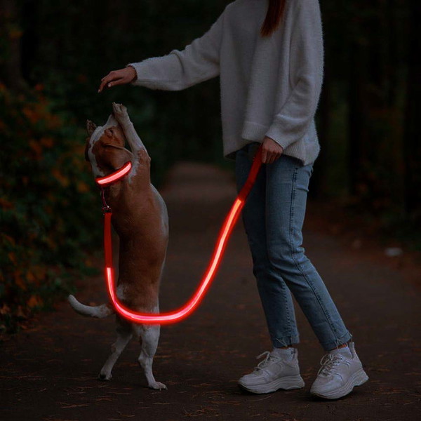 Kenny's Dog Boutique Glow up - LED Set for Safe Walks in the Dark - 1