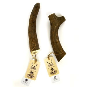 Deer Antler