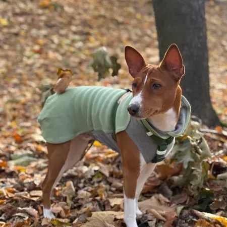 PAIKKA Seawool Fleece Shirt - 6