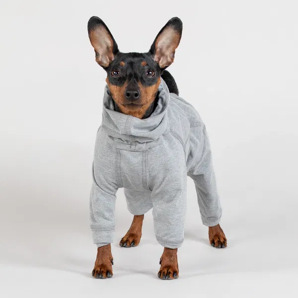 PAIKKA Recovery majica z dolgimi rokavi - 2