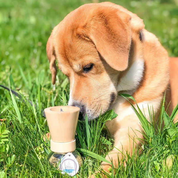 Truffe & Moustache Zeliščni posip za nego kože in dlake - Allure - 7