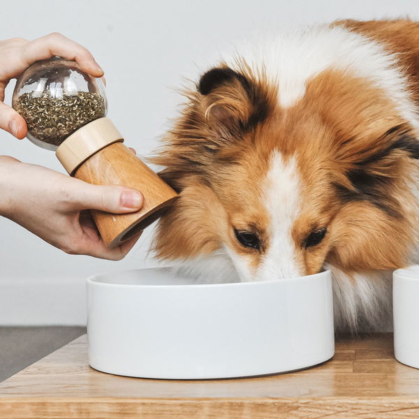 Truffe & Moustache Zeliščni posip za nego kože in dlake - Allure - 1