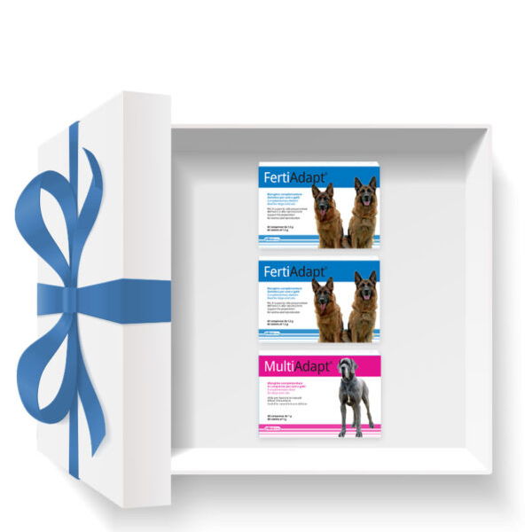 Dogoteka FERTILITY paket: Podpora spolnemu ciklu