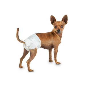 Hygienische Hundewindel