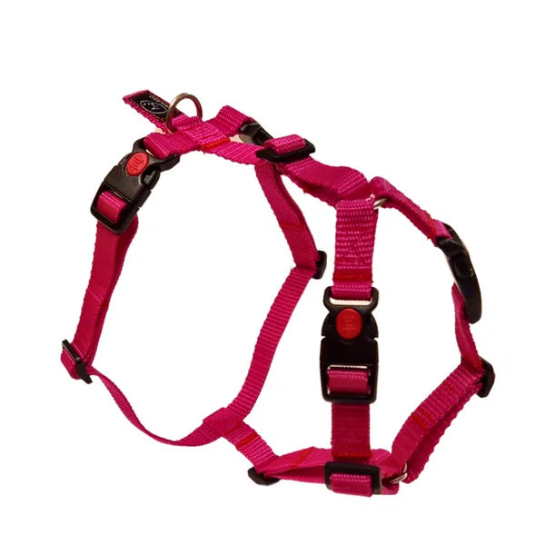 Canuzzo H harness with side attachment - 1