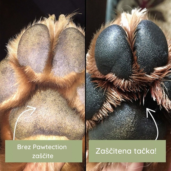 Natural Dog Company Zaščita za tačke - Pawtection - 2