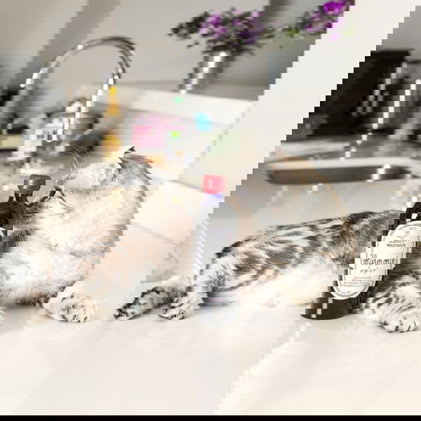 Truffe & Moustache Rastlinsko olje za seniorje - Harmonie Âge d’or - 2