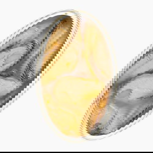 CANUMI Morski MIX paket rib in školjk - 9