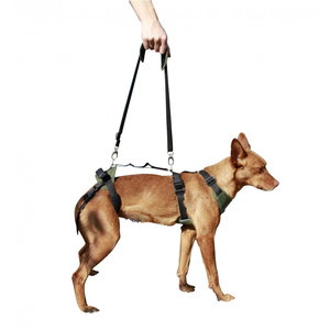 Full Support Dog Harness