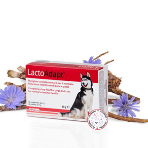 LactoAdapt® za urejanje prebave