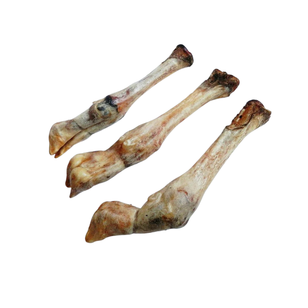 Wildborn Jagnječje noge