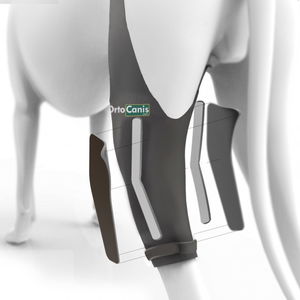Knee Immobilization Brace