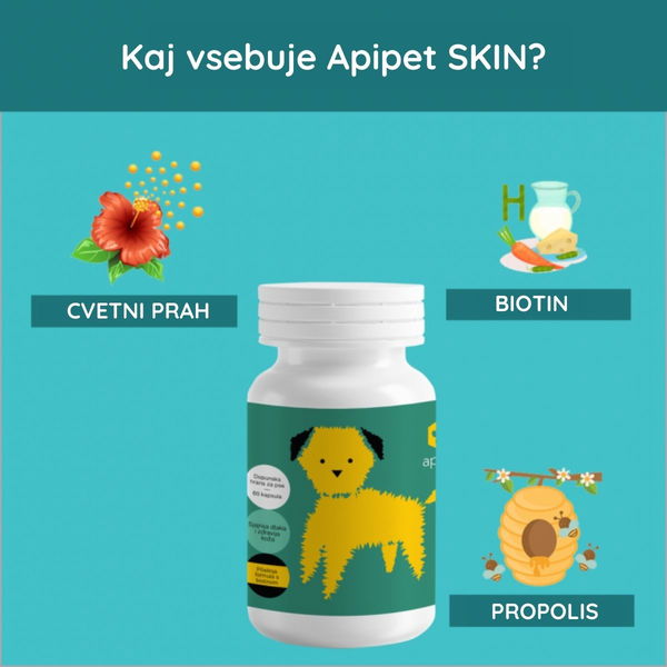 Apipet Dopolnilo s propolisom za zdrav in sijoč kožuh SKIN - 1