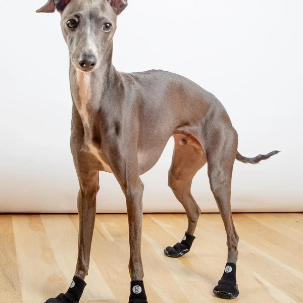 Goo-eez Well-Gripping Protective Socks