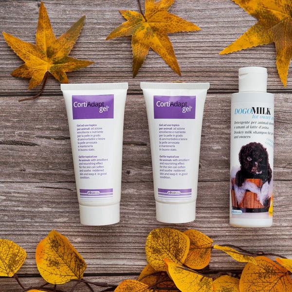 Dogoteka Šampon DOGOmilk - 7