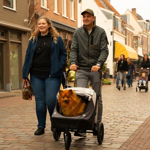 InnoPet 2v1 Voziček in kolesarska prikolica Noah za manjše pse - 21