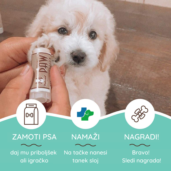 Natural Dog Company Zaščita za tačke - Pawtection - 1