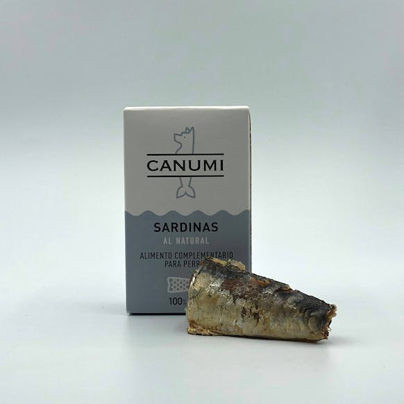 CANUMI Sardinky z Atlantického pobrežia - 10
