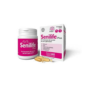 Senilife®Plus za izboljšanje mentalnega stanja starih psov