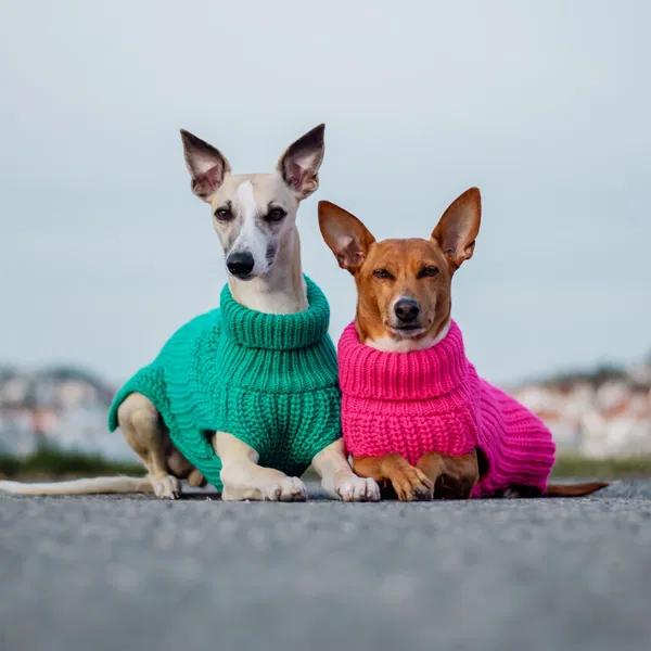 PAIKKA Ročno pleten pulover