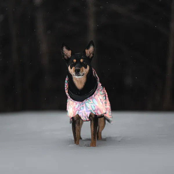 PAIKKA Reflektierende Winterjacke Jungle - 5