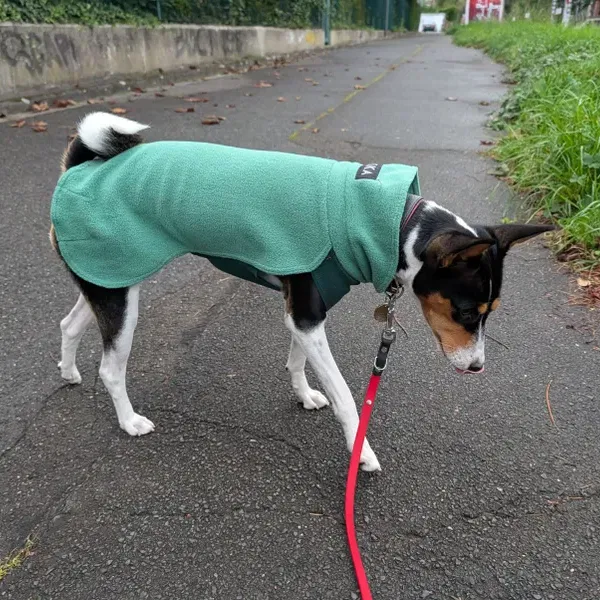 PAIKKA Seawool Fleece Shirt - 7