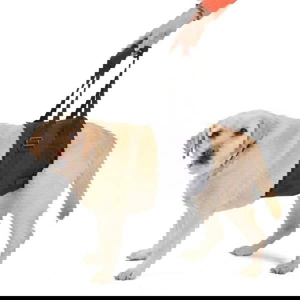 Ortocanis Support Harness for Body