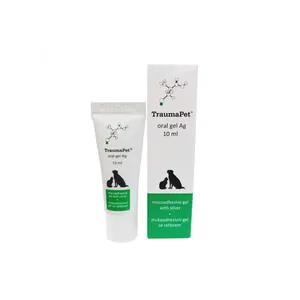 Gel for Oral Cavity Regeneration