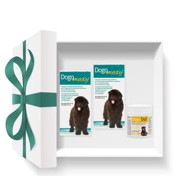 Dogoteka MAXYDOL paket za zdrave in neboleče sklepe