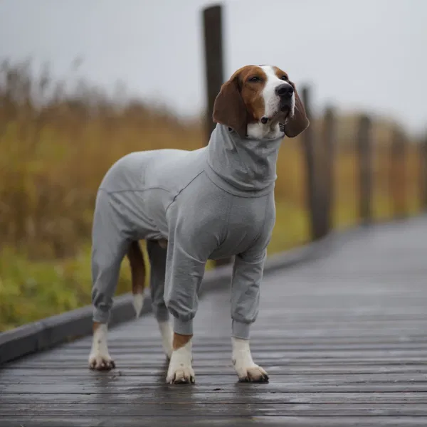 PAIKKA Recovery majica z dolgimi rokavi - 5