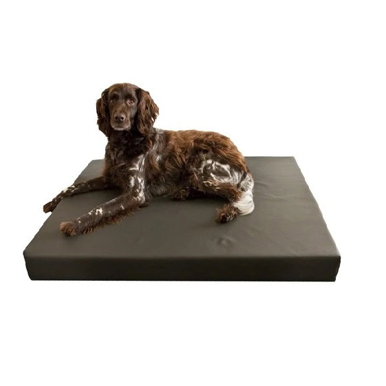 Let's Waterproof Orthopedic Bed