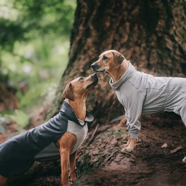 PAIKKA Recovery majica Pink - 3