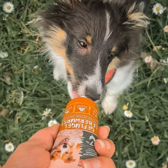 Wildborn Geflügelpastete - 1