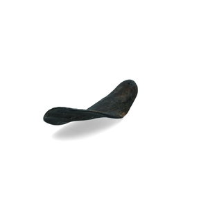 Razpolovljen goveji rog