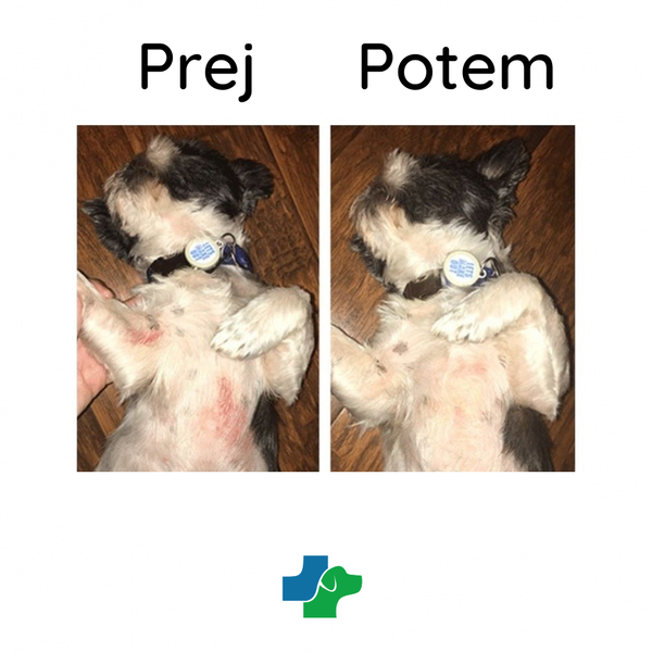 Natural Dog Company Organski balzam Skin Soother - 2