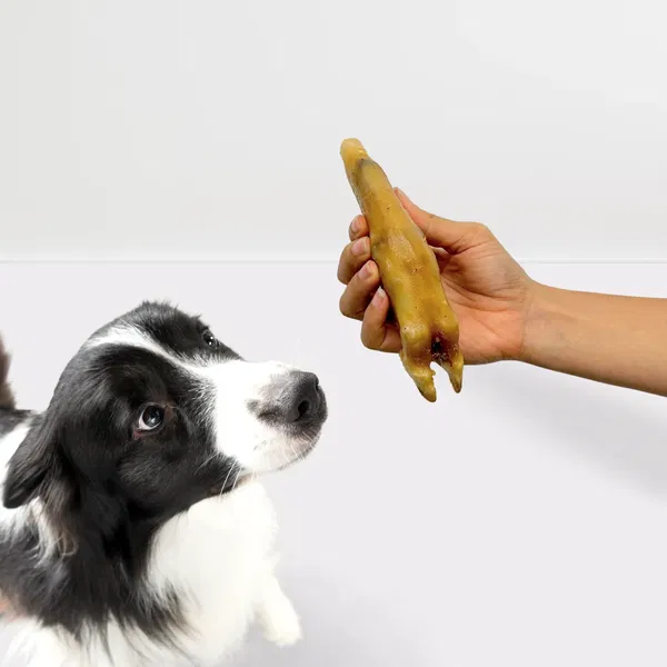 Wildborn Jagnječje noge - 1