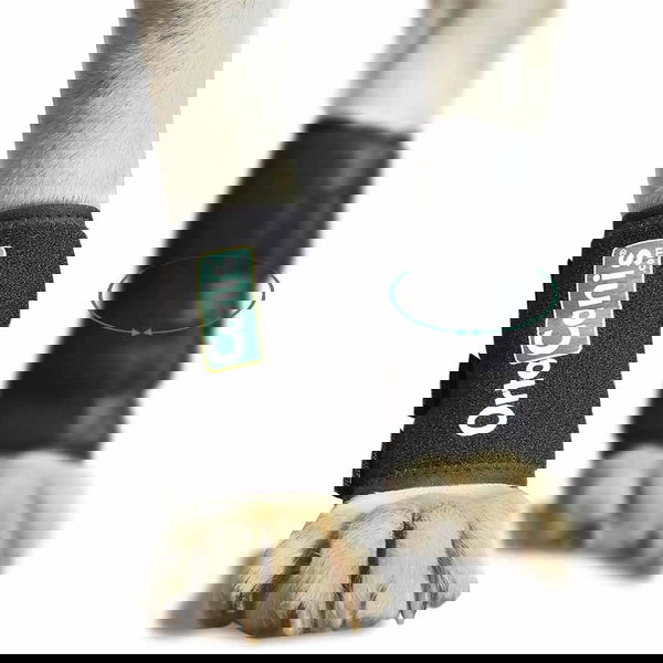 Ortocanis Steznik za zapešće