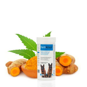 FertiAdapt® zur besseren Fruchtbarkeit