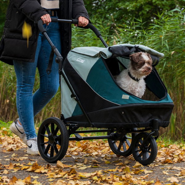 InnoPet 2v1 Voziček in kolesarska prikolica Noah za manjše pse - 25