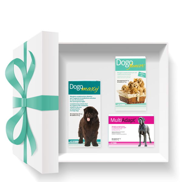 Dogoteka TRIS paket: Od mladička do zdravega odraslega psa