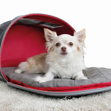 Kong 2v1 Prenosna torba za psa z blazino - 2