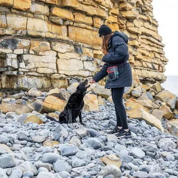 Kong Torbica za sprehode s psom - 3