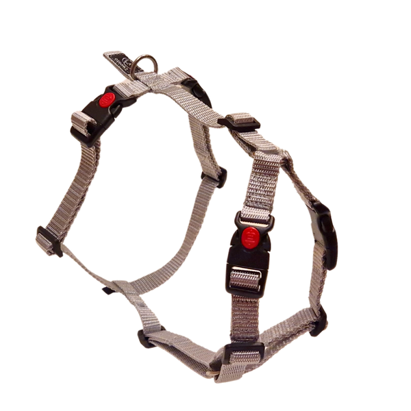 Canuzzo H harness with side attachment - 3