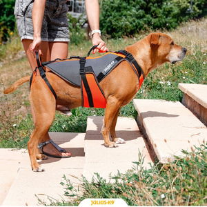 4in1 Multifunctional Harness for Walking Assistance