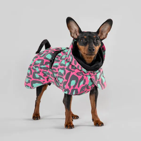 PAIKKA Reflektierende Winterjacke Jungle - 2